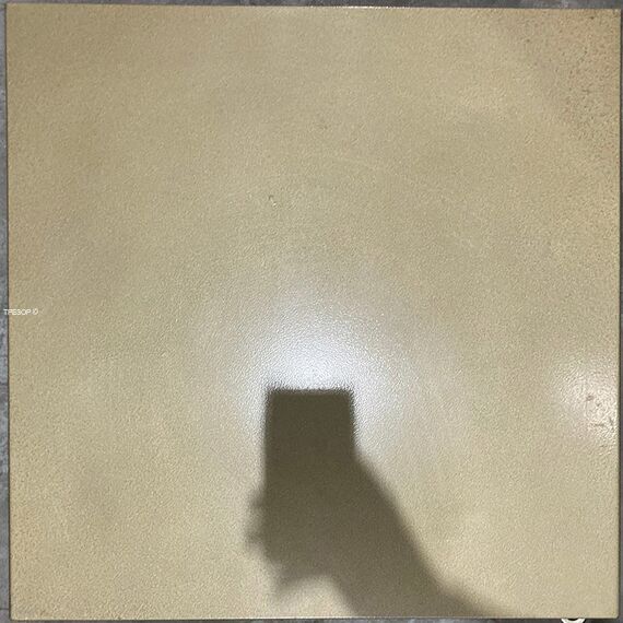 Diplomat JH070Diplomat JH070[image_num]