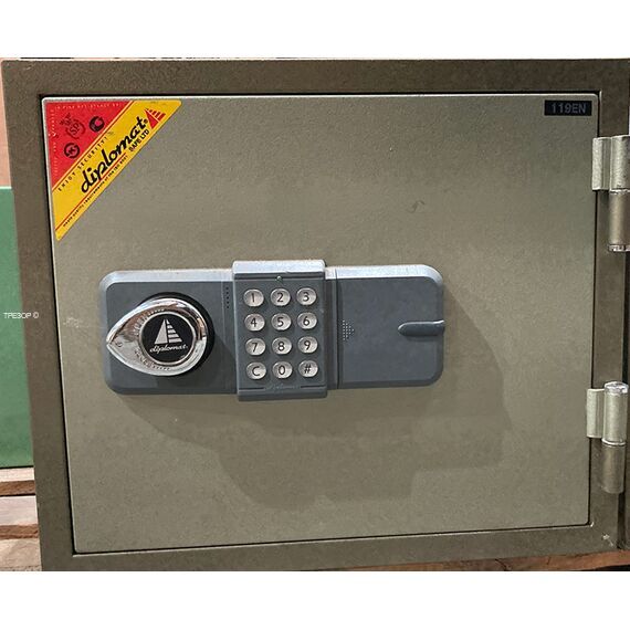 Diplomat 119EDiplomat 119E[image_num]